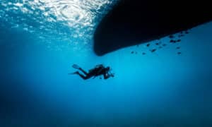 Inicio henrik hedegaard 1090169 unsplash 300x180 - Inicio
