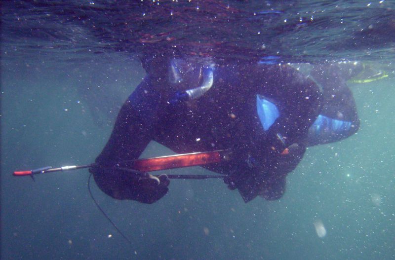 how to start spearfishing