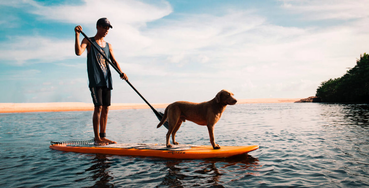 Que es el paddle surf